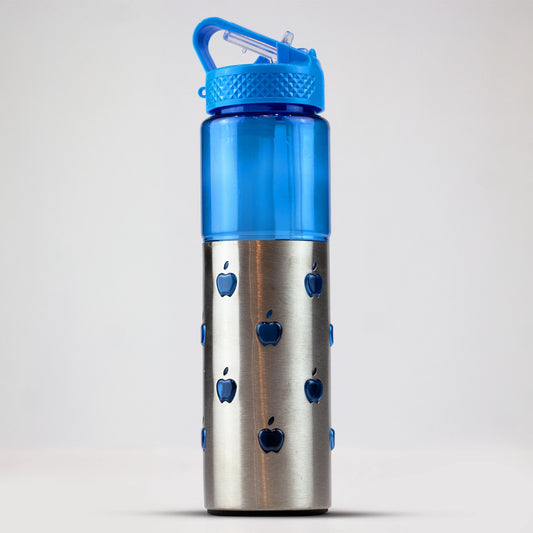 Water Bottle for Travelling/Steel Water Bottle with Ice Pack/Water Bottle with Sipper for Gym