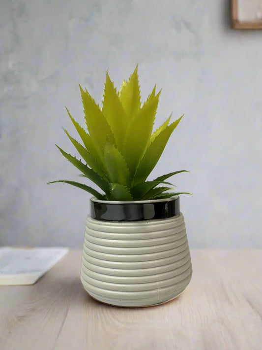 Artificial plant for decor/Ceramic Flowerpot Agave/ Home and Office Decor