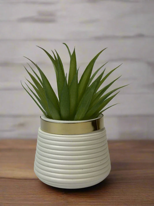 Ceramic Flowerpot Agave/ Artificial plant for decor/ Home and Office Decor