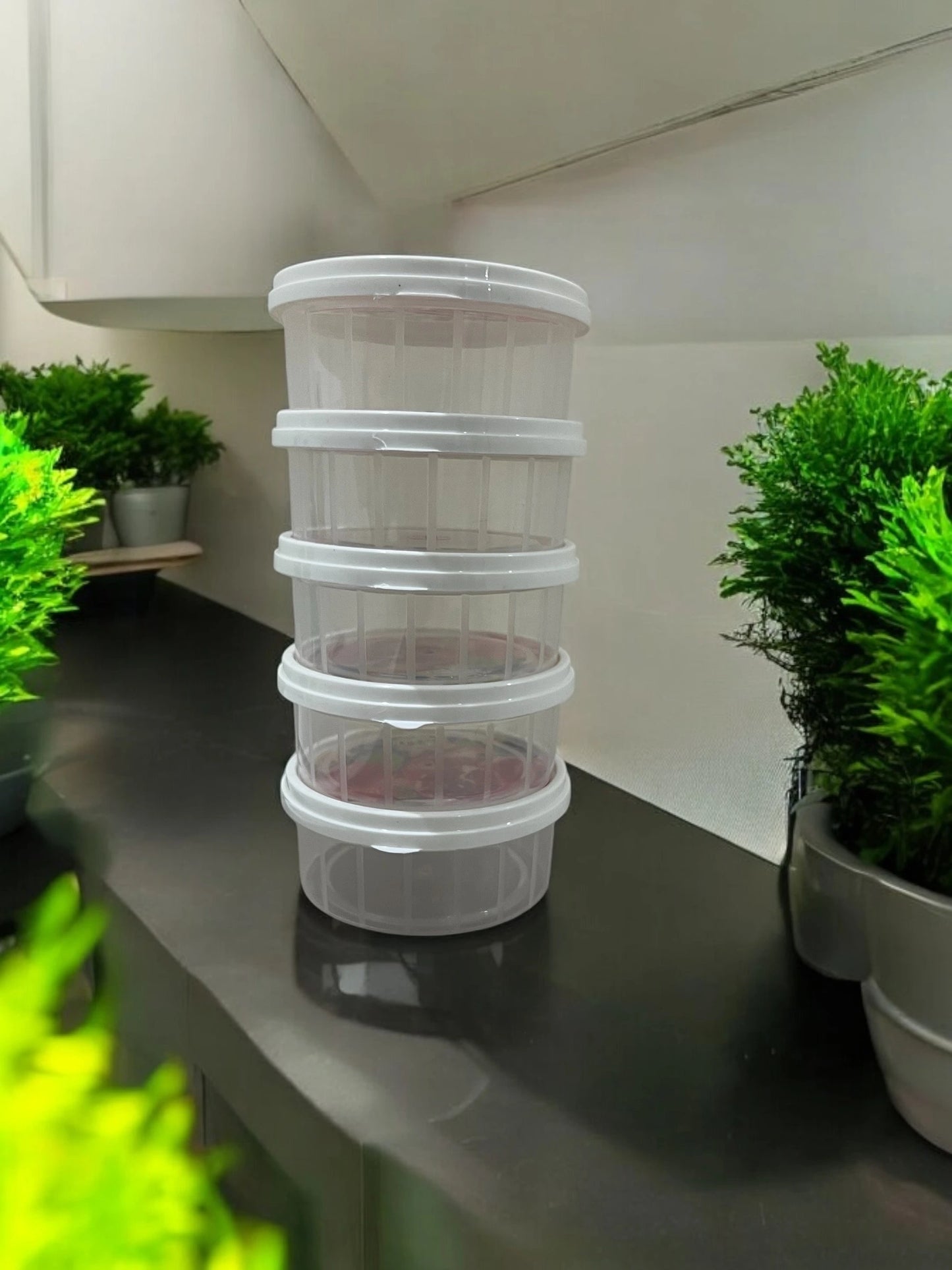 Food Storage Containers 5pc/ Food Storage Boxes for Kitchen